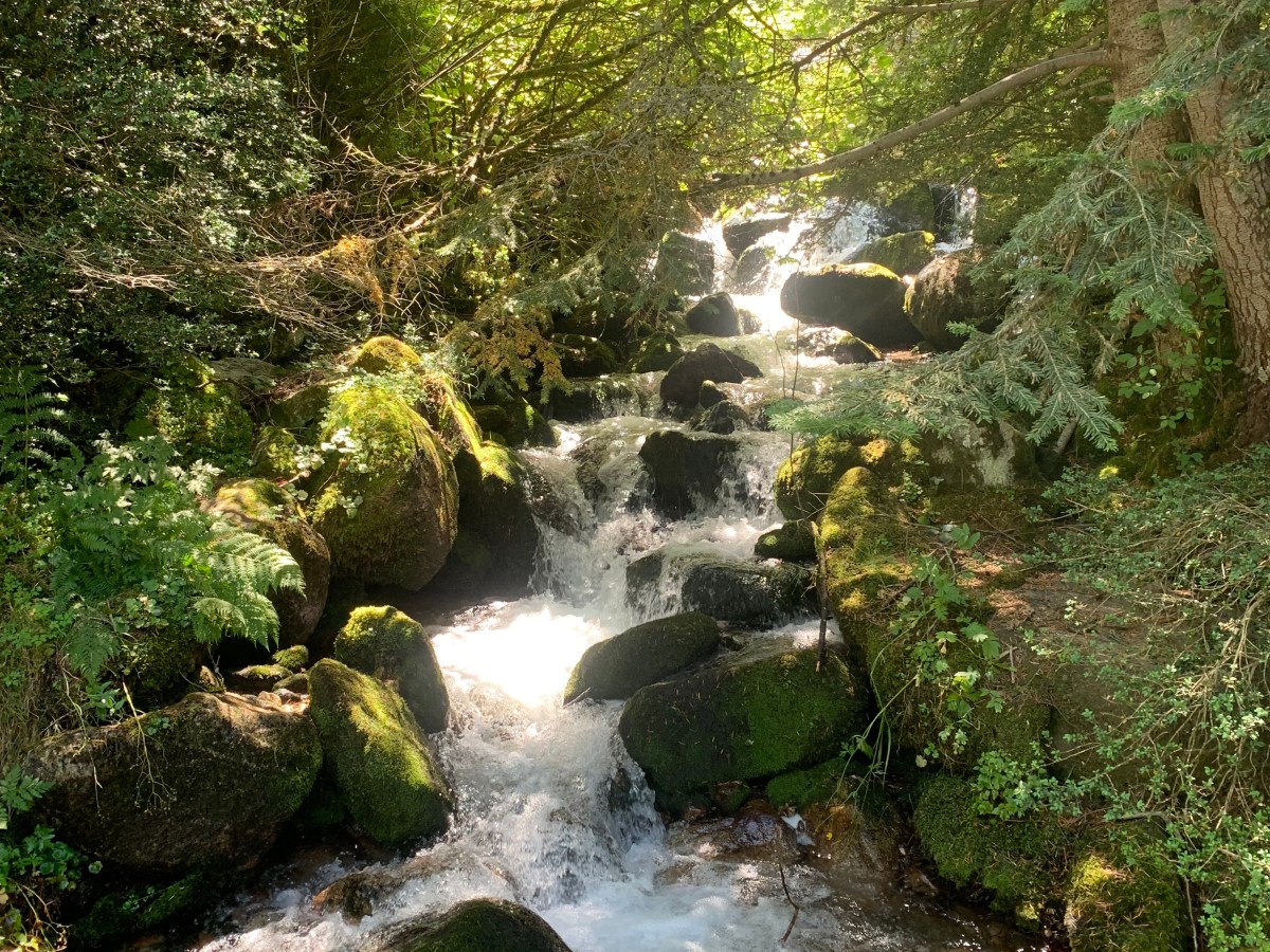 Vall del Madriu-Perafita-Claror