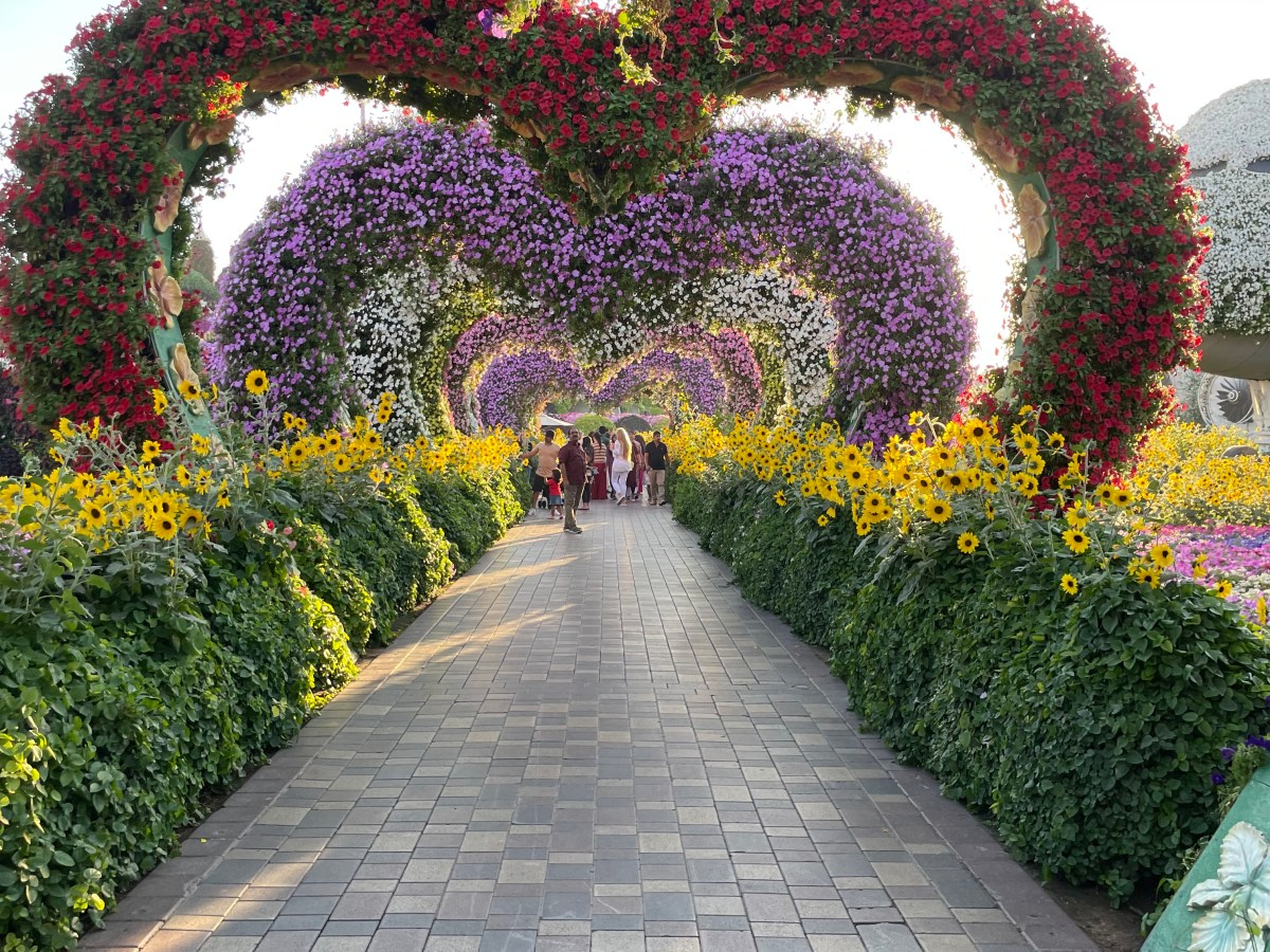 Dubai Miracle Garden