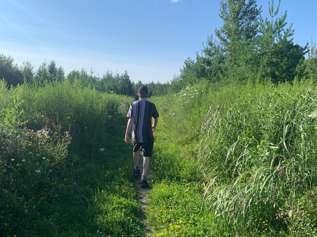 Kanada in Grün