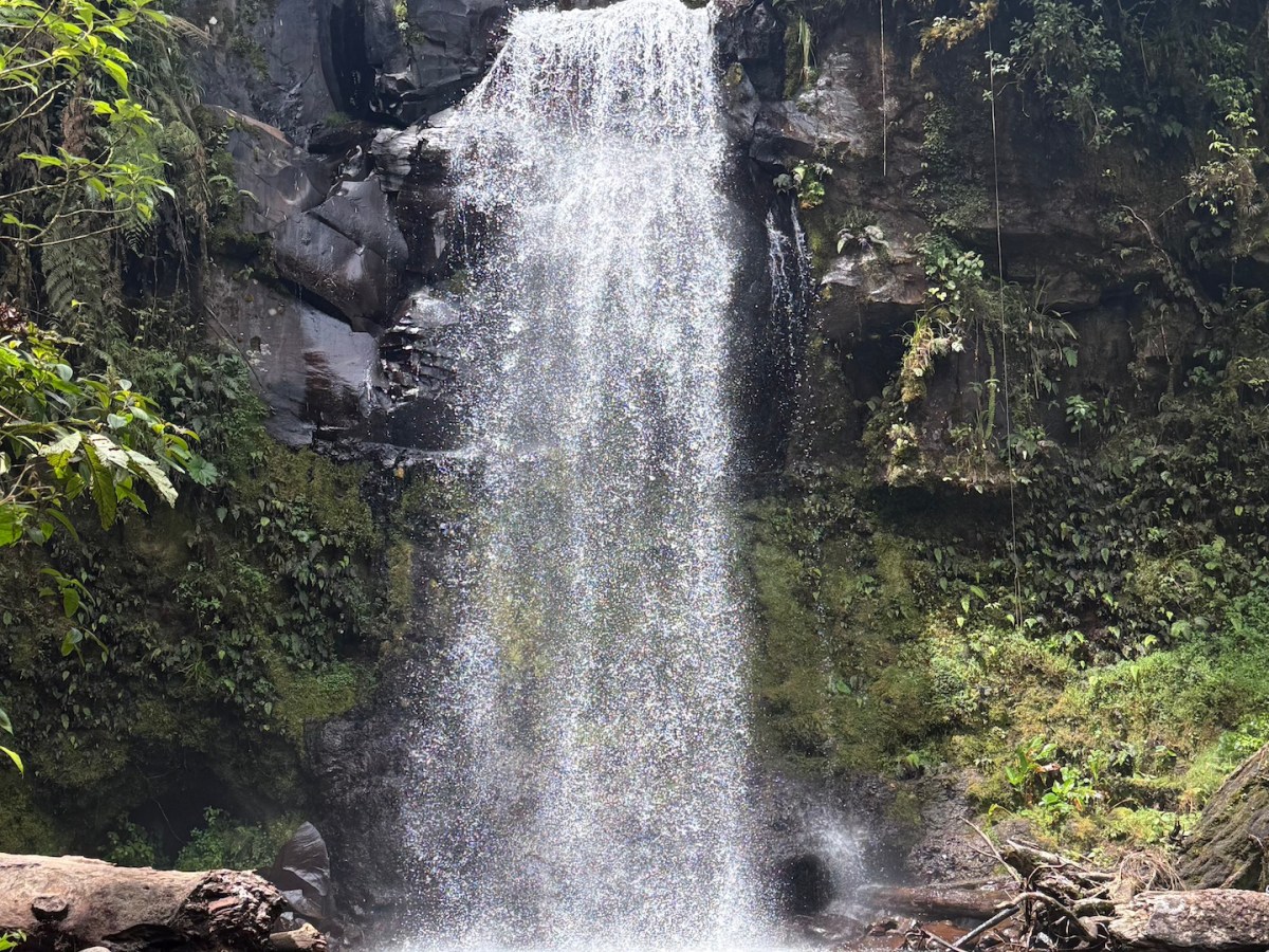 Wandern in Boquete oder auch… auf der Suche nach dem&nbsp;Quetzal
