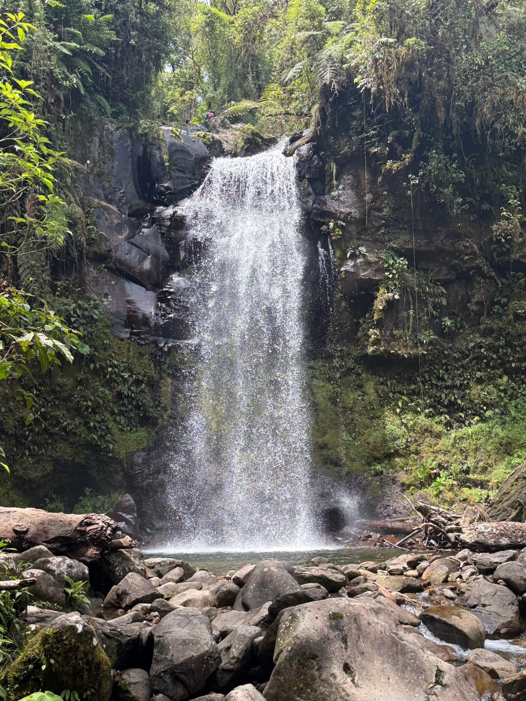 Wandern in Boquete oder auch… auf der Suche nach dem Quetzal